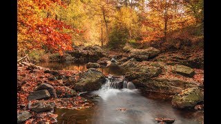 Fototrip België 2018 [upl. by Berton]