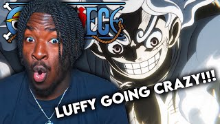 LUFFY GOING CRAZY ONE PIECE EPISODE 1074 REACTION [upl. by Goggin]