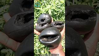 Shaligram different types of shaligram shila 💐💐 shorts short shortsfeed [upl. by Mirisola453]