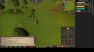 OSRS Grey chinchompa guide UPDATED  current  dank plays old school runescape Grey chins [upl. by Anale]