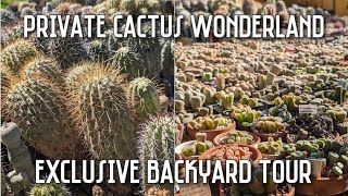 Exclusive backyard tour of an amazing private cactus collection  Phoenix AZ [upl. by Adnawed801]