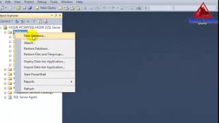 How to export and import database in SQL Server 2012 [upl. by Tisbe297]