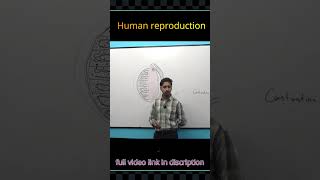 Human Reproduction education biology shorts trending trendingshorts shorts ytshorts [upl. by Salzhauer]