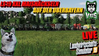 LS19 XXL Maishäckseln  John Deere 9900i  12 Abfahrer  Auf der Oberbayern [upl. by Graf]