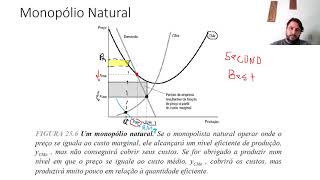 84 Monopólio Natural Monopsônio e Concorrência Monopolística  1ªed [upl. by Annair]