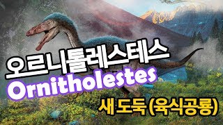 Ornitholestes 오르니톨레스테스 [upl. by Bremer]