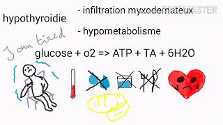 hypothyroidie [upl. by Elberfeld]