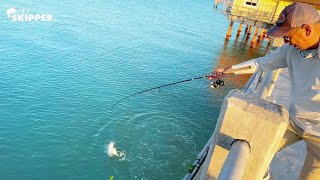 Catch the BIGGEST fish at the Pier 3 SIMPLE METHODS for Pier Fishing [upl. by Lindell961]