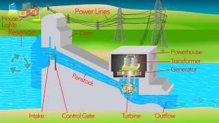 How a Hydro Electric Dam Works [upl. by Joey]