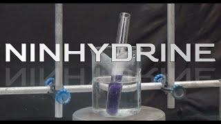 Ninhydrin synthesis Amino acid reagent [upl. by Sadnalor]