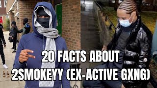 UK DRILL 20 Facts about 2Smokeyy [upl. by Towney720]