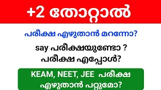 plus two sayimprovement exam 2024 date  എപ്പോൾ അപേക്ഷിക്കാം [upl. by Kryska564]