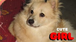 0599cute girl dogactivities dogplayingdog Bengali vlog [upl. by Jac]