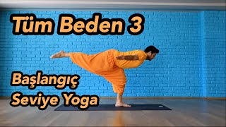 Başlangıç Seviye Yoga Dersi  Tüm Beden 3 [upl. by Shandee]