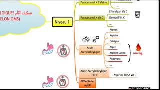 مسكنات الألم Les Antalgiques حفظ أسماء الأدوية [upl. by Zaria]
