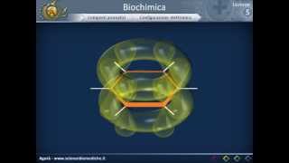 Biologia 05  Nozioni di biochimica strutturale [upl. by Nare]