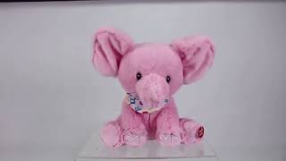 KCV Pink Elephants in the House of Mouse [upl. by Nerradal344]