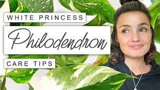 White Princess Philodendron Care TIPS  TRICKS 🌱 Philodendron White Princess Survival Guide 💚 [upl. by Tran]