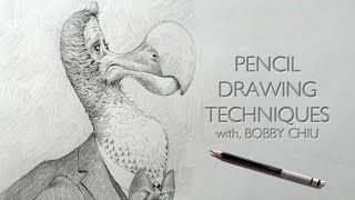 Pencil Drawing Techniques [upl. by Myrta]