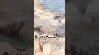 Descubre Serenidad de la NATURALEZA con estas Imágenes y Sonido del MAR🌊Desconecta Rutina Natura [upl. by Nytsirc424]