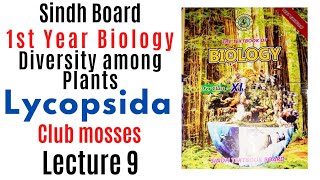 Lycopsida  Diversity among plants  1st Year biology Sindh text book board new book class 11 [upl. by Brittaney44]