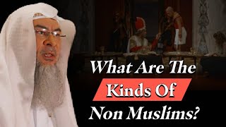 What Are The Kinds Of NonMuslims Assim Al Hakeem  Sheikh Asim [upl. by Alexandr]