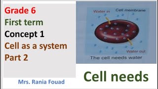 Lesson 1 Cell needs grade 6 [upl. by Bobbye]