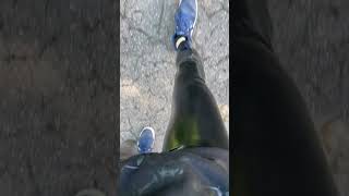 Walking First POV with Patent Shiny Leggings [upl. by Aizirtap609]