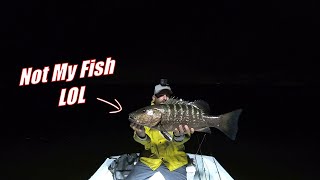 Another Insane Night Fishing Trip In Matlacha Florida [upl. by Mccormac]