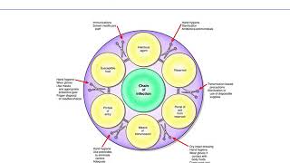 Asepsis technique by nursingstudynotes [upl. by Trent]