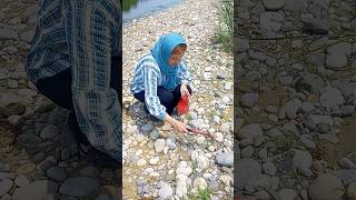 Beautiful agate hunting near the river [upl. by Witte]