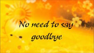 The Call No Need To Say Goodbye Lyrics by Regina Spektor [upl. by Redyr484]