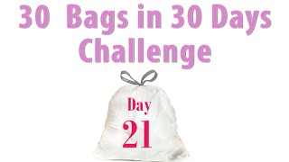 30 Bags in 30 Days  Declutter Challenge  Day 21 [upl. by Decker]