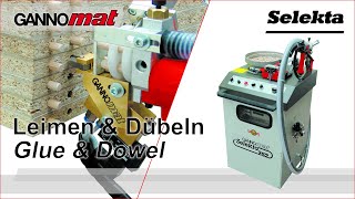 GANNOMAT Selekta  Dübeleintreibgerät  Handheld glue and dowel inserter [upl. by Scharff]