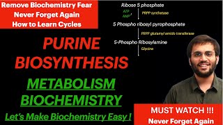 Purine Synthesis  Biochemistry  Purine Metabolism Video [upl. by Aihsenod797]