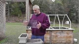 Growing Radishes Indoors Under Grow Lights [upl. by Braswell]