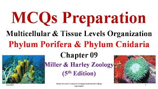 MCQs Phylum Cnidaria Phylum Porifera Sponges Parazoa Porifera Sponges FPSC SPSC KPSC PPSC [upl. by Artemisia]