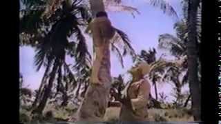 quotThe Cayquot 1974  FULL TV Movie HQ [upl. by Elleunamme126]