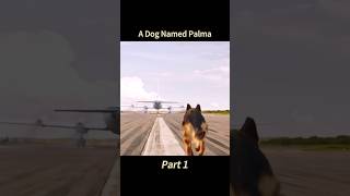 A Dog Named Palma part1 movie film touch [upl. by Enoek]