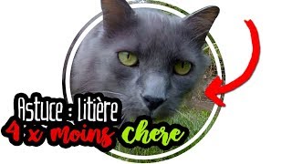 💰Astuce  La litière la moins chère du marché  😺 [upl. by Idnim]