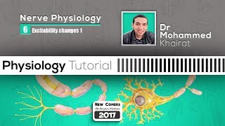 Physiology of nerve 7 Excitability changes part 1 [upl. by Jarrid]