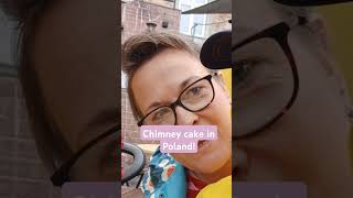 Krakow chimney cake krakow food travelvlog travel familyadventure adventure fun trending [upl. by Kemble468]