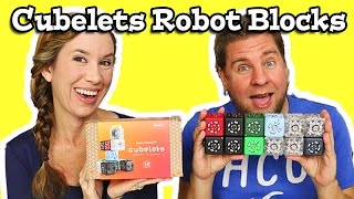 Cubelets Robot Blocks [upl. by Lauritz]