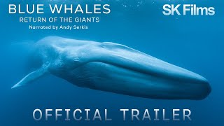 Blue Whales  Return of the Giants  Official Trailer 4K  SK Films [upl. by Ennayelhsa]