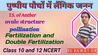 पुष्पीय पौधों में लैंगिक जनन।। T S Of Anther।।Ovule Structure।।Fertilization [upl. by Anielram]