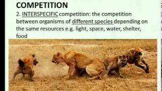 Matric revision Life Sciences Community ecology 25 Types of interactions 25 competition [upl. by Ranie424]