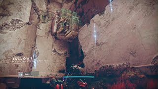 Destiny 2 new glitch [upl. by Ennairrac]