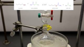 How to make Banana Mushroom Orange and Pear Flavoring Acetate Esters [upl. by Hellman308]