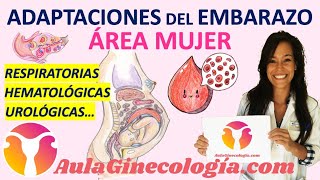 ADAPTACIONES DEL CUERPO DE LA MUJER AL EMBARAZO RESPIRATORIAS HORMONALES HEMODINÁMICAS [upl. by Kacey]