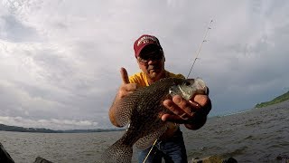 How To Locate Crappie In The Summer Fishing From The Bank [upl. by Blinnie]